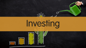 PPFAS FOF Investing