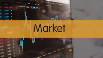 PPFAS FOF Market